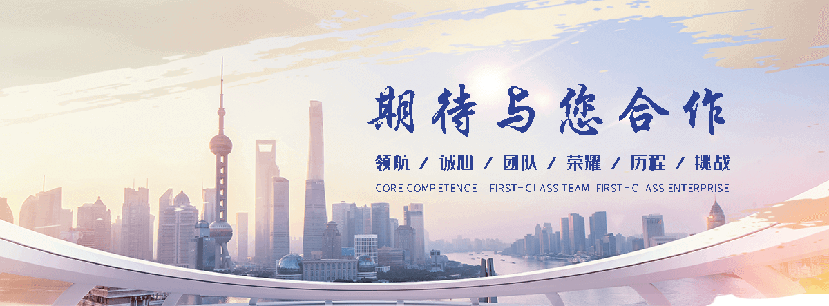 沙优化公司哪家好